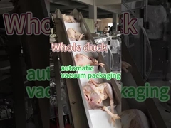 Et Dondurulmuş Gıda Paketleme Makinesi Gıda Sınıfı Paslanmaz Çelik 304/316 Vakum Koruma Dükkanı